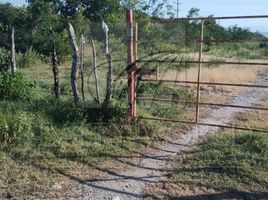 Studio Villa for sale in Padilla Tamaulipas, Padilla, Tamaulipas
