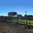  Land for sale in Conhelo La Pampa, Conhelo, La Pampa, Argentina