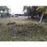  Land for sale in Alanje Chiriqui, Santo Tomas, Alanje