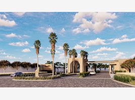  Land for sale in Torreon Coahuila, Torreon, Coahuila