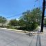  Land for rent in Santa Catarina Nuevo Leon, Santa Catarina, Nuevo Leon, Mexico