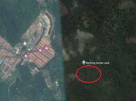 Land for sale in Bentong Pahang, Bentong, Bentong, Pahang