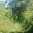 Land for sale in Champoton Campeche, Champoton