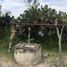 在Guerrero出售的 土地, Cutzamala De Pinzon, Guerrero