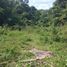  Land for sale in Jerantut Pahang, Tembeling, Jerantut, Pahang