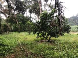  Land for sale in Batang Padang Perak, Bidor, Batang Padang, Perak