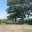 7 Schlafzimmer Villa zu verkaufen in Obando, Valle Del Cauca, Obando, Valle Del Cauca