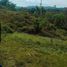  Terrain for sale in Zamboanga del Sur Zamboanga Peninsula, Zamboanga City, Zamboanga del Sur, Zamboanga Peninsula