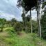  Land for sale in Raub Pahang, Dong, Raub, Pahang