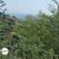  Land for sale in Buleleng Bali, Seririt, Buleleng, Bali