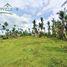  Land for sale in Cebu Central Visayas, Aloguinsan