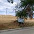  Land for sale in Cebu Central Visayas, Barili