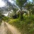  Land for sale in Bentong Pahang, Bentong, Bentong, Pahang